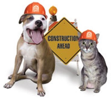 zz dog-and-cat-construction.jpg